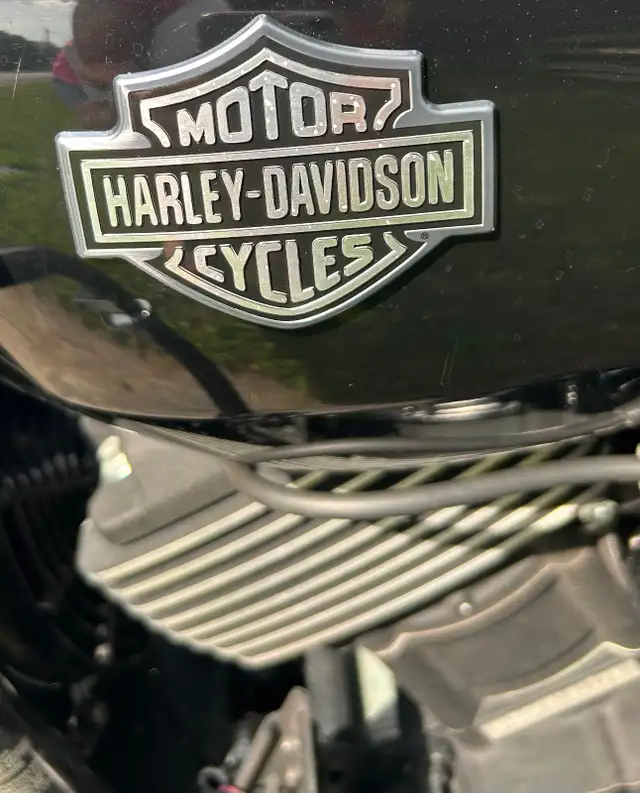 2015 Harley Davidson Street in Street, Cruisers & Choppers in Oshawa / Durham Region - Image 6