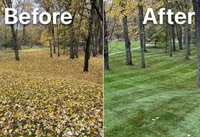 leaf clean up , View more