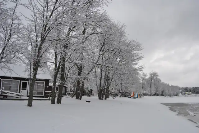 Waterfront Cottages on Golden Lake/Beachfront in Ontario in Canada - Image 10