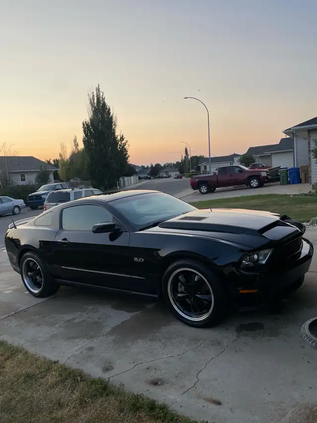 2011 Mustang GT63008303286531121
