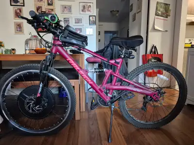 VELO ELECTRIQUE, View more