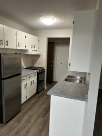 768 20th St NE        2 BED,  1 BATH APARTMENT FOR RENT