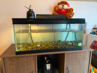 50 Gallon Aquarium with stand, filter and lights from PetSmart