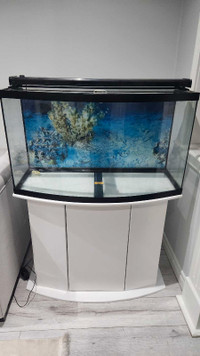 55 gallon fish tank with stand