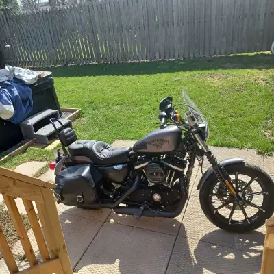 2016 Harley Davidson Sportster xl883n less than 20,000 km .Denim Matt Charcoal with security system...