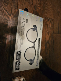 Razer Anzu Smart Glasses