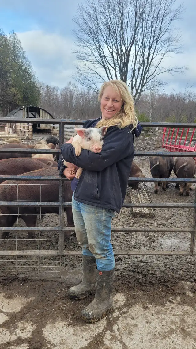 Heritage breed naturally raised piglets in Livestock in Owen Sound - Image 6
