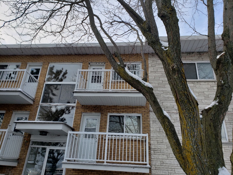 3 1/2 pièces, Rue Lamarre, VieuxLongueuil Locations longue durée