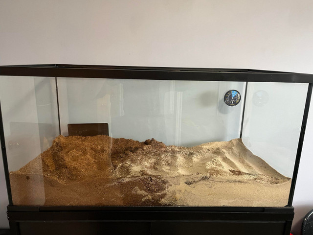 Hermit Crab Enclosure - Everything Included in Accessories in St. John's - Image 2