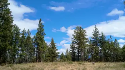 1-640 Highway 3, Princeton, BC PID 031-169-317 1.999 Acres Land for Sale by Owner Don't miss this 2...