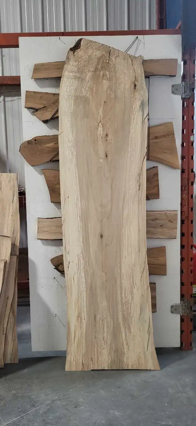 Huge live edge slabs in Other in Winnipeg - Image 4