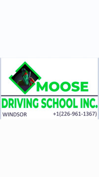 Driving lesson/class/instructor