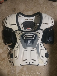 Chest protector and neck brace