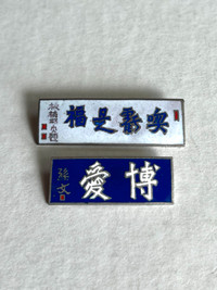 Vintage Chinese Enamel Souvenir Pins