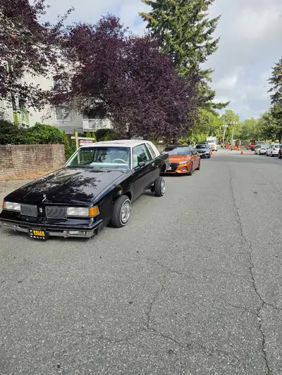 1981 cutlass supreme g body lowrider 2 pump hydraulics with 6 batteries 350 crate engine with under...