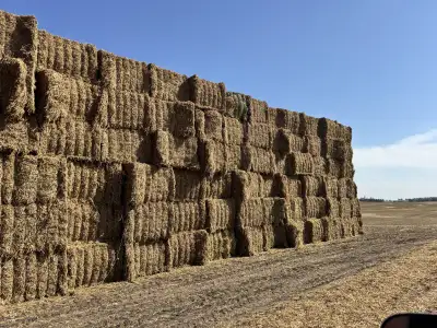 Have 2025 peas straw for sale 950 lb bales asking 40 bucks per and I’ll load them. Trucking can be a...