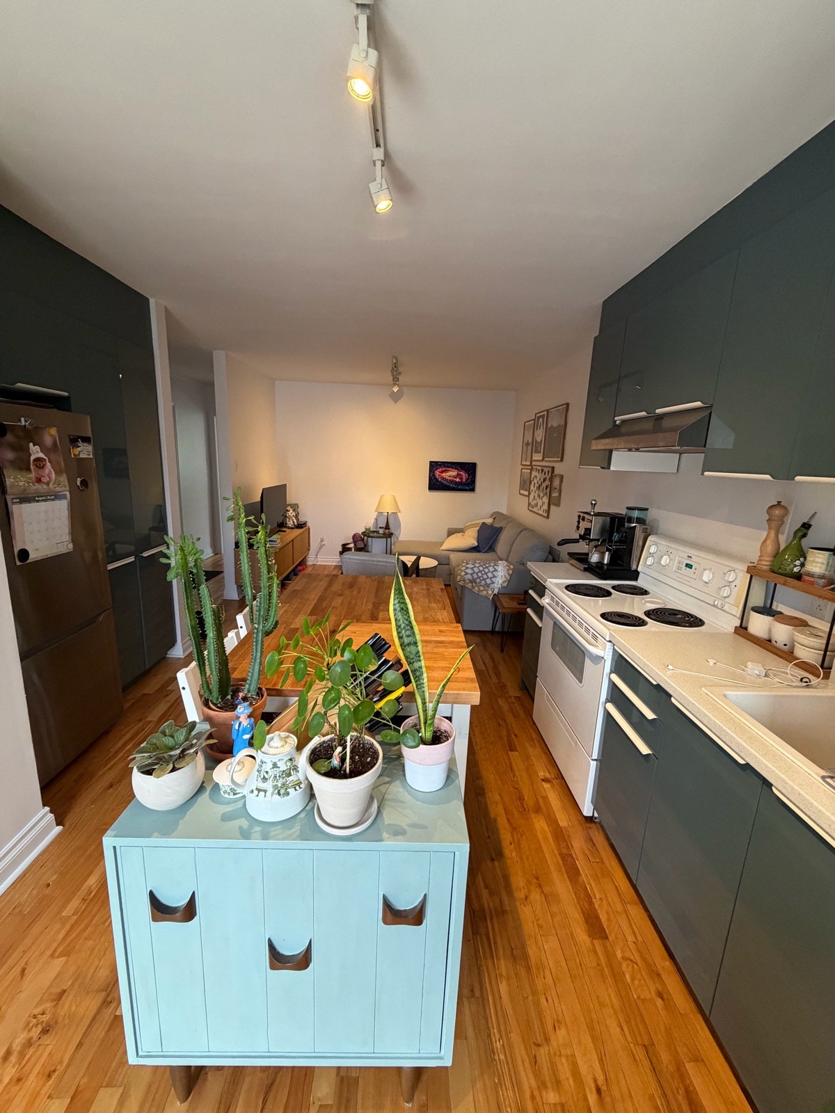 Villeray appartement 3 et demi — photo 3