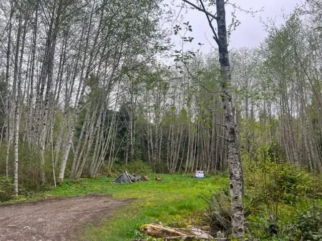 1.1 acreage for sale in beautiful Bamfield Vancouver Island . in Land for Sale in Nanaimo - Image 10