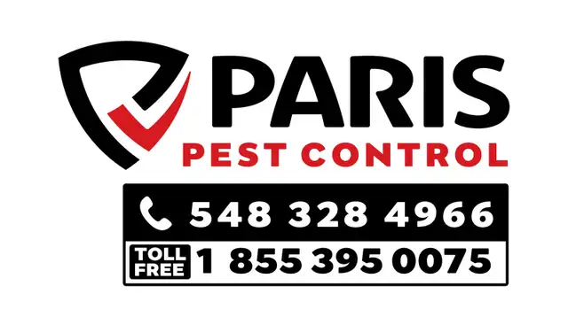 Pest Control Service63654773829379121