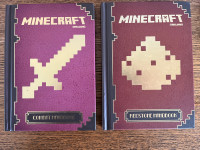 Minecraft Books (2)
