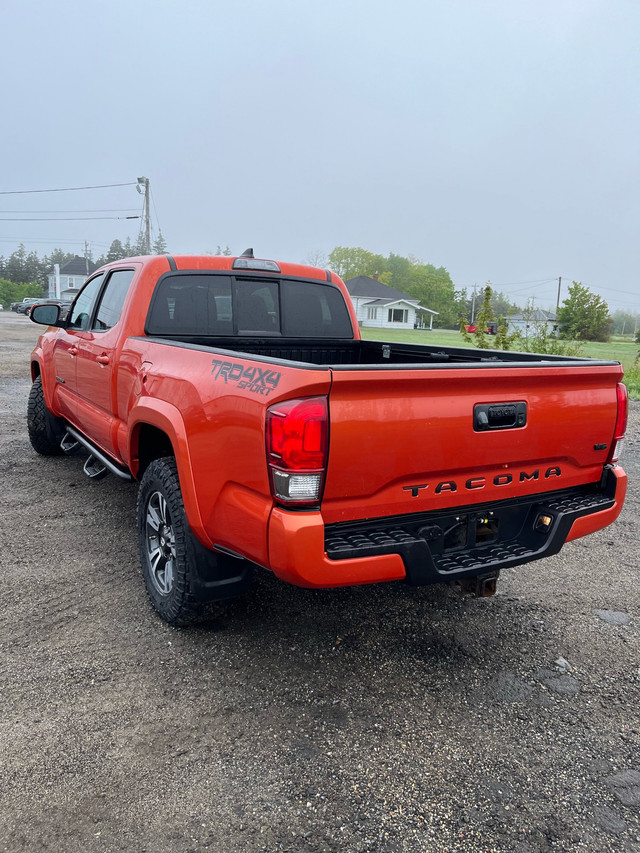 2016 TOYOTA TACOMA TRD SPORT in Cars & Trucks in Yarmouth - Image 3