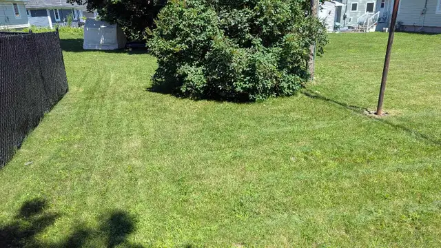 Ray's Lawn Mowing530755412684318729