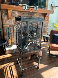 Cage pour perroquet ou oiseaux