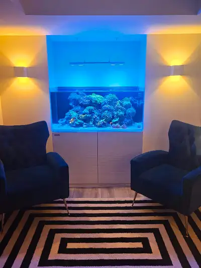 saltwater fish tank with sump 4ft by 2ft, View more