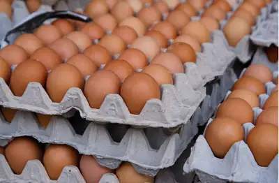 Large Organic Brown eggs from free-range, View more