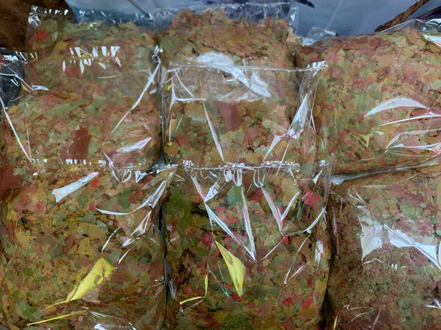Tropical Fish flakes , 1/2 Pound •$10  in Fish for Rehoming in Leamington
