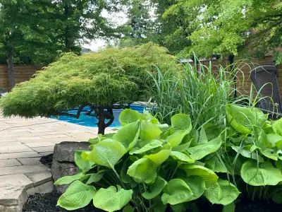 LANDSCAPING GTA✅, View more