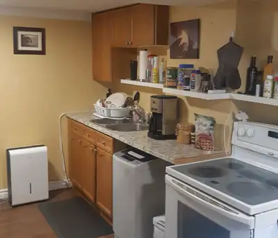 2 bedroom basement apartment available for rent in a quiet neighborhood. Private driveway, parking f...