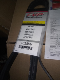 Serpentine Belt