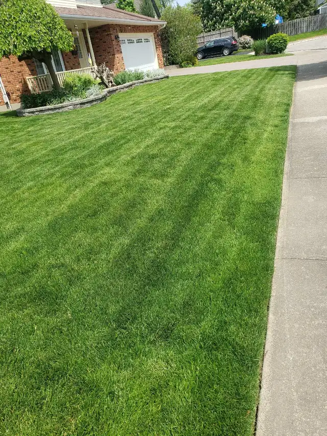  FALL CLEANUP, LEAF REMOVAL & LAWN CARE – NIAGARA REGION 