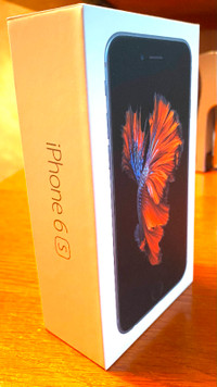 iPhone 6S (Used)