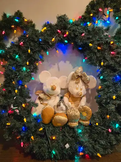 Mickey Mouse Wreath Multi Lights