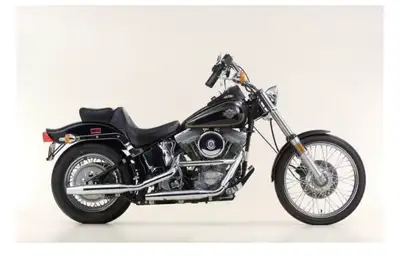Looking for a 1984 Softail Please message if you have one for sale