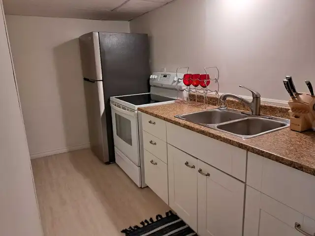 Basement Apartment for Rent in Room Rentals & Roommates in Belleville - Image 3