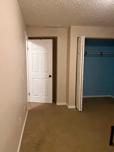 1 room basement for rent