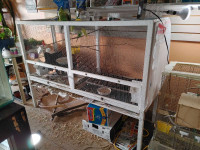 6 buggies and huge cage for sale