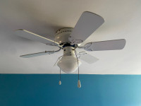 20 inch white/wood grain ceiling fan 