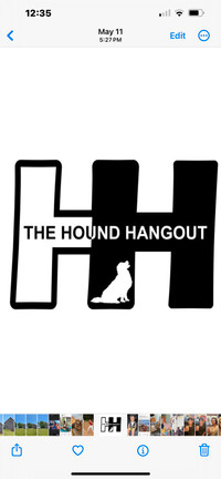 Dog Daycare at The Hound Hangout