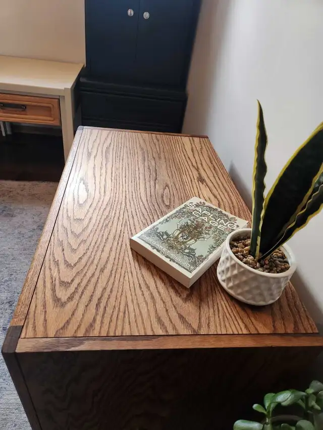 mid-century modern cabinet with pullout shelf in Bookcases & Shelving Units in Edmonton - Image 6