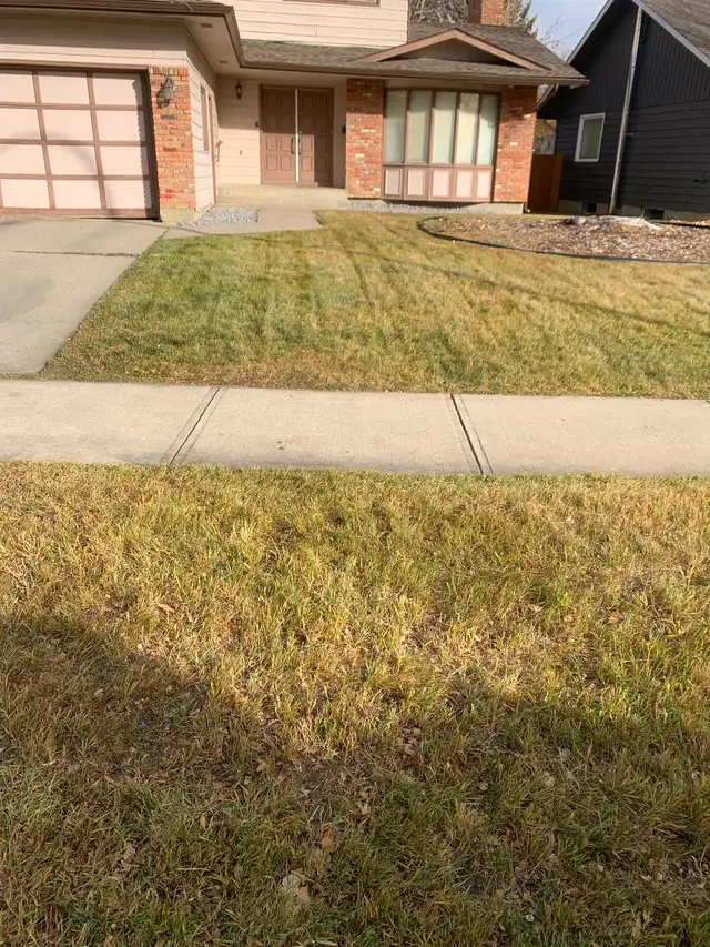 Professional Fall Cleanup and Snow Removal Services591903317548093441