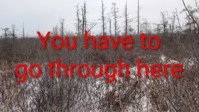 Please don't walk the property without notification Hunting season is still on Seize the opportunity...