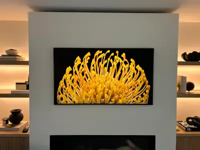 Pro TV Wall Mount Installation Service - 6478317403, View more
