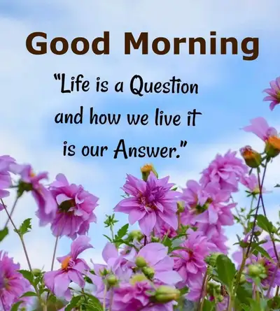Hi, I have experience Ap/ AR, bank reconciliation, quickbook, payroll and other office duties, I am...