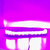 Funeral Home Service PURPLE White IP67 LED Beacon Waring Strobe
