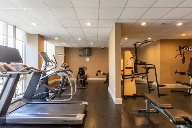 1+1 Bed, 1 Bath Apartment for Rent (Downtown Toronto) in Long Term Rentals in City of Toronto - Image 5