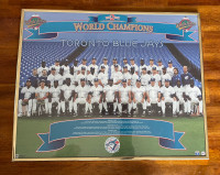 1992 1993 back to back Champion Blue Jays framed picture 